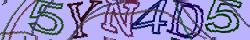 Retype the CAPTCHA code from the image